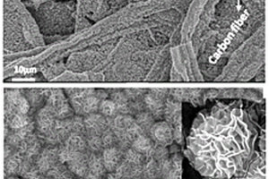 纸巾衍生碳纤维负载MoS<Sub>2</Sub>微米花复合材料的制备方法及其在锂硫电池中的应用