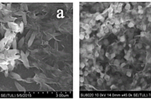 纳米复合材料粉体制备及其催化应用方法