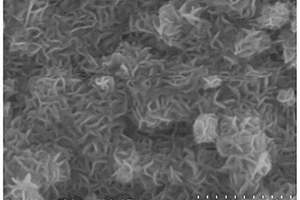 Co掺杂的硒化钼纳米片/Mo箔复合材料、制备方法及其应用