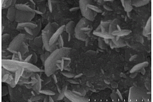 原位自组装纳米花状二硫化钴/rGO复合材料及其制备方法和应用