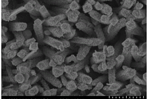 二氧化钛纳米棒阵列/银纳米复合材料的制备方法及其应用