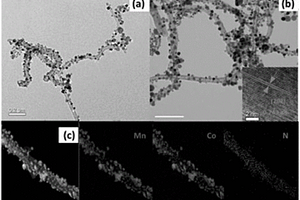 用于锂电池电极的氮掺杂碳纳米管/锰-钴氧化物纳米复合材料