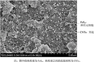 神经网络结构的二硫化铁/碳纳米管复合材料及其制备方法
