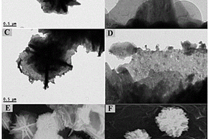 负载花球状硫化铜-钯核壳结构的氮掺杂石墨烯复合材料及其制备方法与应用