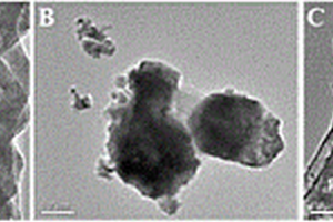 NiS2纳米颗粒/g-C3N4介孔纳米片复合材料及其制备方法