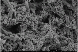 聚吡咯纳米管/Co<sub>3</sub>O<sub>4</sub>颗粒复合材料及制备方法