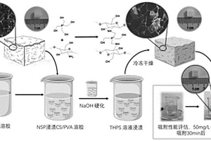 纳米海绵负载磷酸改性壳聚糖复合材料、制备方法及其应用