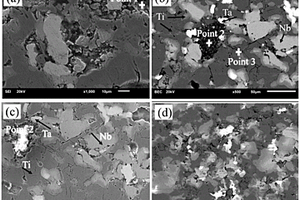 纳米碳增强钛基/纳米HA复合材料及制备方法