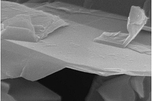 纳米石墨片与二氧化钛复合材料及其制备方法和应用