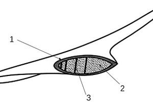 复合材料螺旋桨桨叶