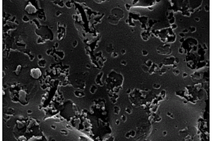 竹节状碳纳米管/分级多孔生物碳复合材料及其制备方法