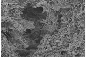 CoTe纳米线-石墨烯复合材料及其制备方法