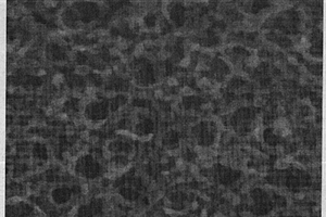 聚吡咯颗粒和二氧化钛纳米管列阵的复合材料制备方法