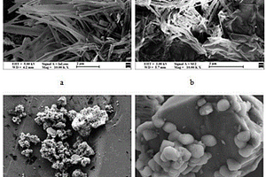 晶须状N-TiO2/RGO/硅藻土复合材料及其制备方法