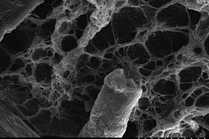 基于桉木纳米微晶纤维素增强的医用生物复合材料及其制备方法
