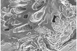 生物炭-四氧化三铁-壳聚糖复合材料的制备方法