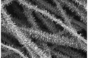 自支撑多级结构氮化钒基碳纳米纤维复合材料及其制备方法与应用