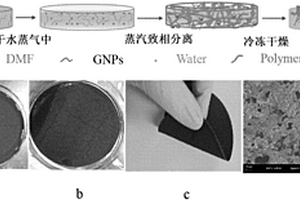 聚醚砜树脂/石墨烯纳米片多孔纳米复合材料、制备方法及其用途