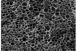 环氧树脂基生物质炭电磁屏蔽复合材料及其制备方法