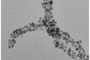 碳纳米管纳米复合材料的制备方法与应用