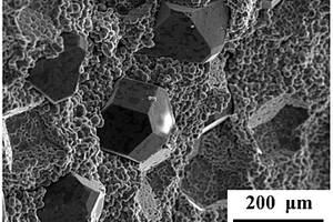 利用微波等离子体快速成型金刚石/金属基复合材料构件的方法