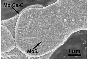 三元层状碳化物Mo<Sub>2</Sub>Ga<Sub>2</Sub>C复合花状MoS<Sub>2</Sub>纳米颗粒复合材料及其制备方法和应用
