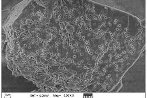 高分子纳米凝胶颗粒/碳酸钙复合材料及其制备方法