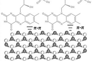核黄素磷酸钠修饰的二维片层复合材料、其制法与应用