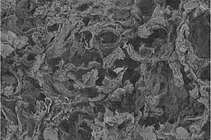石墨烯/碳纳米管复合材料的制备方法及其应用