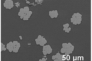 准晶颗粒强化的镁基非晶合金内生复合材料及其制备方法
