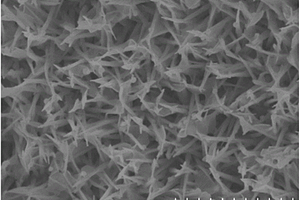 硫化钴/钴碱式盐纳米复合材料的制备方法及应用