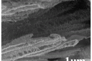 氮化钒-孔道碳纳米复合材料及其制备方法和用途
