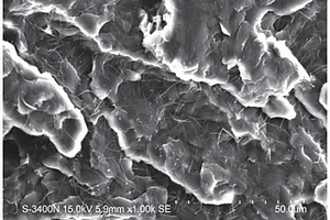 双硬脂酰酒石酸钠二酯改性滑石粉及尼龙复合材料的制备方法
