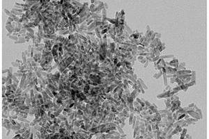 碳基纳米复合材料及其制备方法和应用