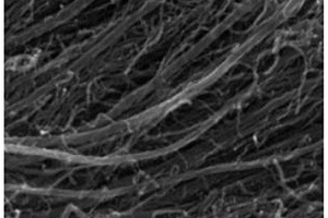 银纳米粒子-碳纳米管复合材料的制备方法
