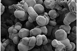 锂离子正极复合材料及其制备方法