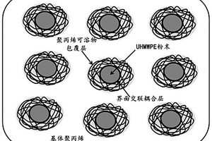 抗虎皮纹的免喷涂底护板用聚丙烯复合材料及其制备方法