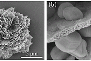 花状硒化锌-锰/炭复合材料及其制备方法和应用