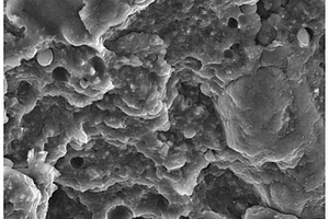 界面改性稻壳粉/聚乳酸可生物降解复合材料的制备方法