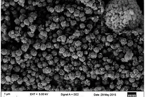 基于MOFs/TiO2磁性复合材料的水中杀菌剂的分析检测方法