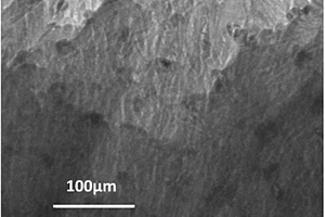 碳纳米管定向排列的复合材料层合板制备工艺