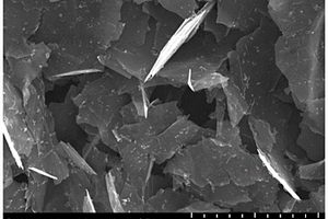 氮化钛/石墨烯复合材料的制备方法与应用