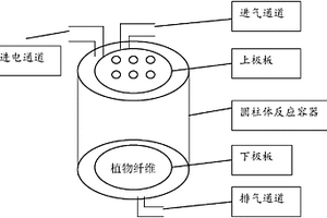 植物纤维的大气压冷等离子体改性方法及其在木塑复合材料中的应用