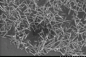 氮掺杂石墨烯负载Cu2O-CuO纳米针复合材料的制备方法