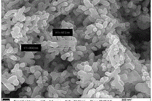 钛酸钡颗粒、钛酸钡/含氟聚合物复合材料及其制备方法