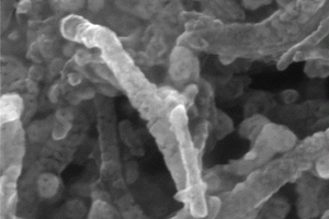 1D结构碳纳米管NiCoOOH复合材料的制备方法