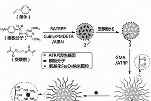 磁性亲水分子印迹复合材料及其制备方法