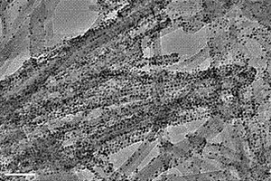 微波法合成凹土/钯纳米复合材料催化剂的方法