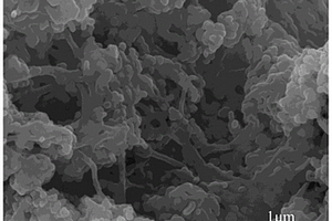 生物质/碳纳米管诱导Fe<Sub>3</Sub>O<Sub>4</Sub>纳米复合材料及其作为锂离子电池负极材料的应用