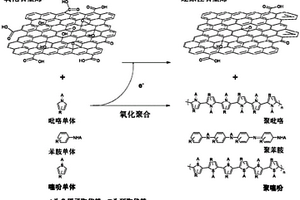 导电高分子-石墨烯纳米复合材料、其制备方法及用途